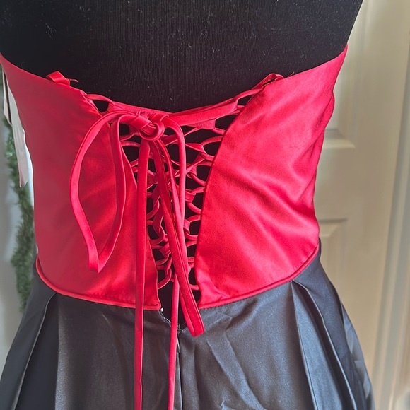 Roses Stacy Skylar - Picture 12 of 16